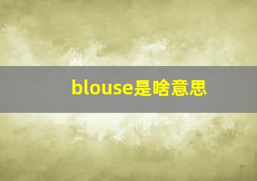 blouse是啥意思