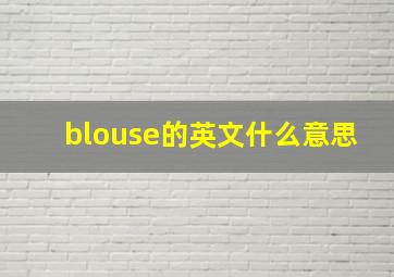 blouse的英文什么意思