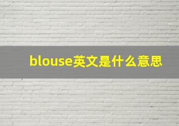 blouse英文是什么意思