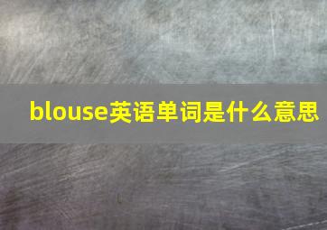 blouse英语单词是什么意思