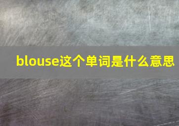 blouse这个单词是什么意思