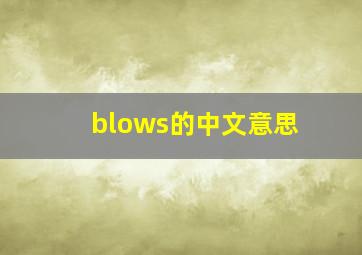 blows的中文意思