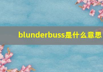 blunderbuss是什么意思