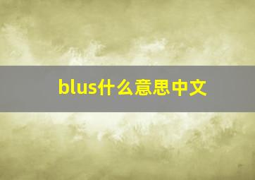 blus什么意思中文