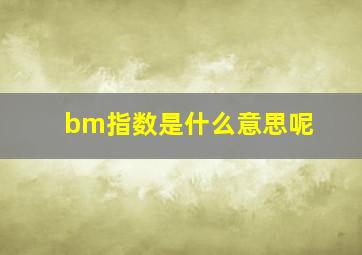 bm指数是什么意思呢