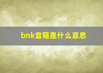 bnk音箱是什么意思