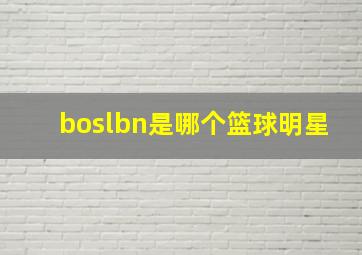 boslbn是哪个篮球明星