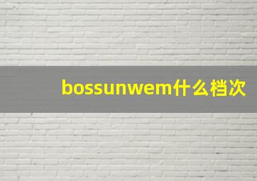 bossunwem什么档次