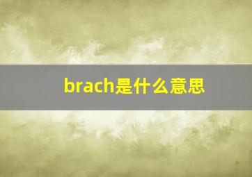 brach是什么意思