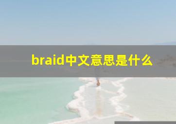 braid中文意思是什么