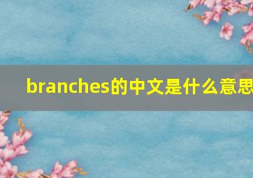 branches的中文是什么意思