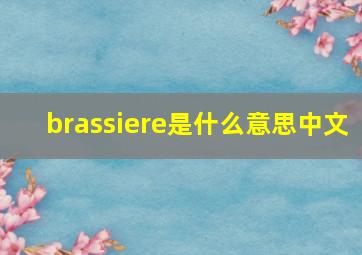 brassiere是什么意思中文