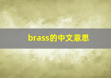 brass的中文意思