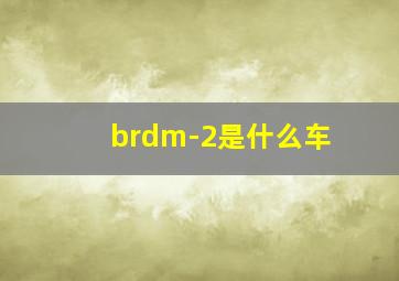 brdm-2是什么车