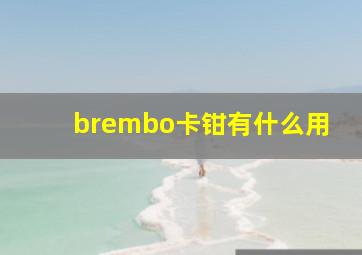 brembo卡钳有什么用