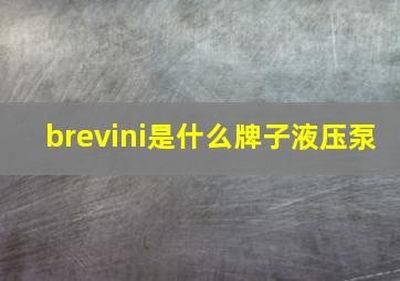 brevini是什么牌子液压泵