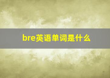 bre英语单词是什么