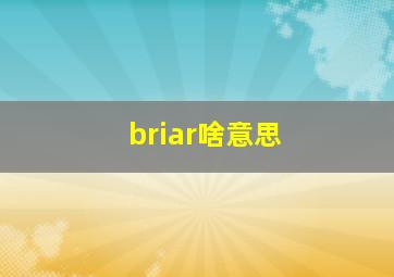 briar啥意思