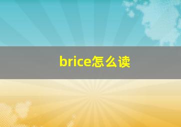 brice怎么读