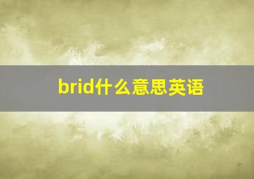 brid什么意思英语