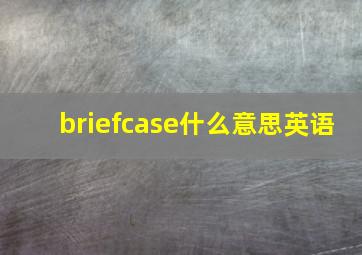 briefcase什么意思英语