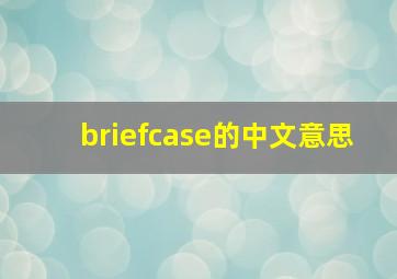 briefcase的中文意思