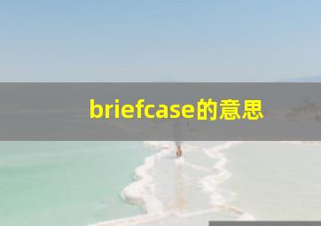 briefcase的意思