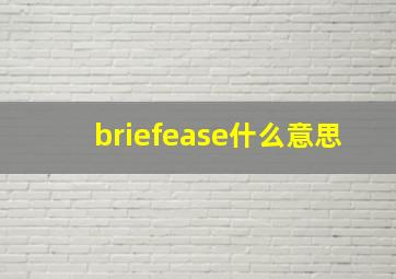 briefease什么意思