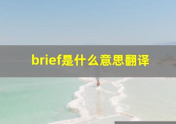 brief是什么意思翻译