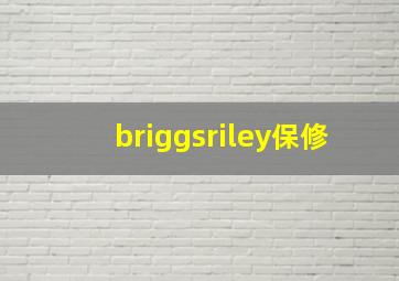 briggsriley保修