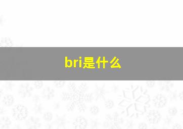 bri是什么