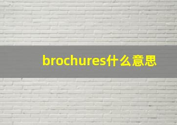 brochures什么意思