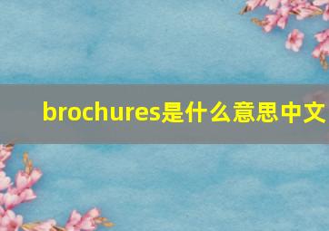 brochures是什么意思中文