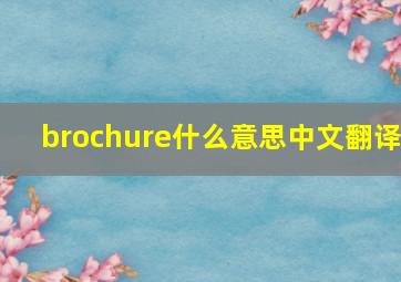 brochure什么意思中文翻译