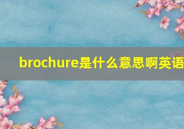 brochure是什么意思啊英语