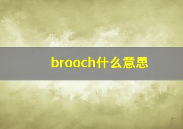 brooch什么意思