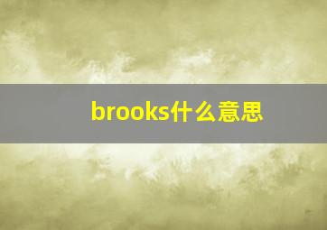 brooks什么意思