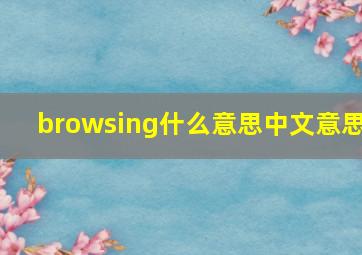 browsing什么意思中文意思