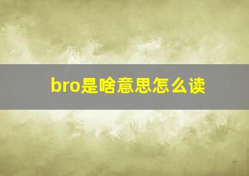 bro是啥意思怎么读