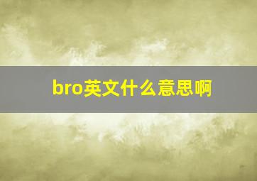 bro英文什么意思啊