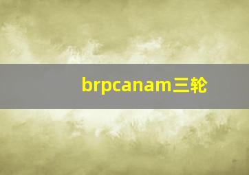 brpcanam三轮