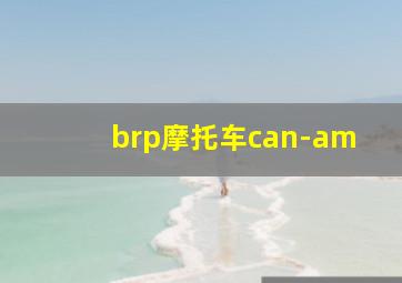 brp摩托车can-am