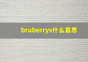 bruberrys什么意思