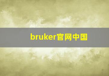 bruker官网中国