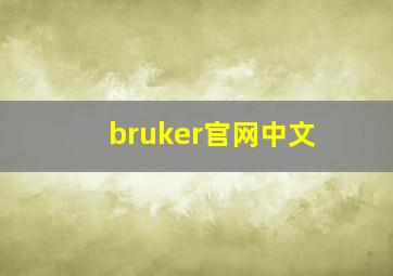 bruker官网中文