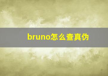 bruno怎么查真伪