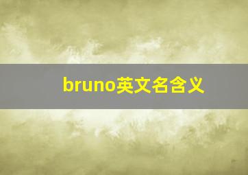 bruno英文名含义