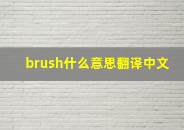 brush什么意思翻译中文