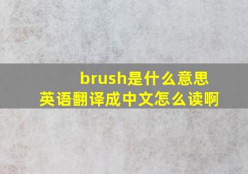 brush是什么意思英语翻译成中文怎么读啊