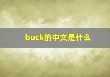 buck的中文是什么